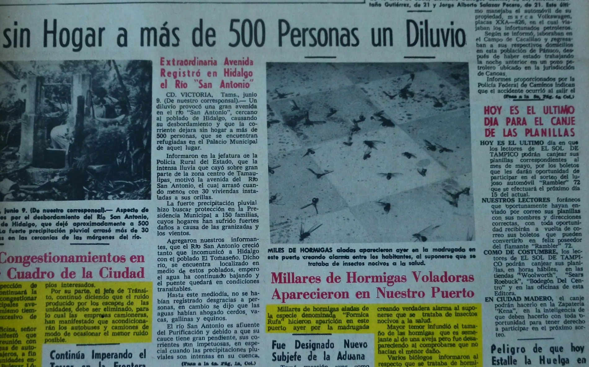 El diluvio fue anunciado por millares hormigas voladoras. Hemeroteca El Sol de Tampico